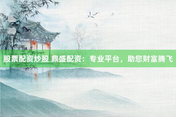 股票配资炒股 鼎盛配资：专业平台，助您财富腾飞