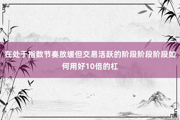 在处于指数节奏放缓但交易活跃的阶段阶段阶段如何用好10倍的杠