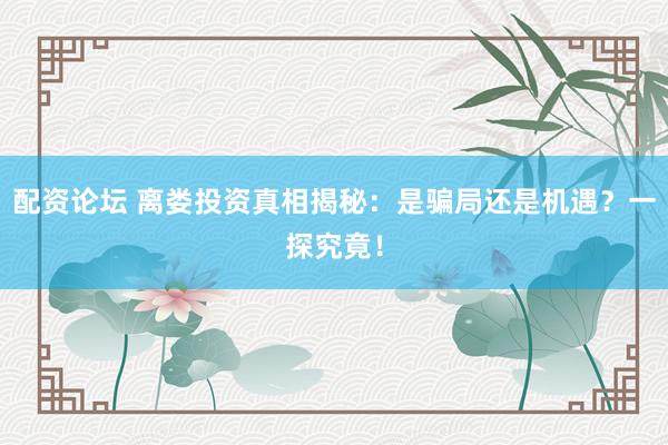 配资论坛 离娄投资真相揭秘：是骗局还是机遇？一探究竟！